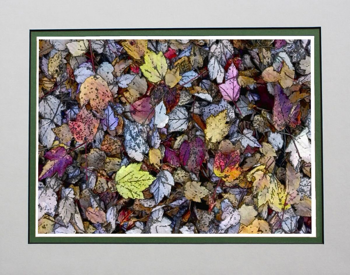 Fallen Leaves by Robin Clarke