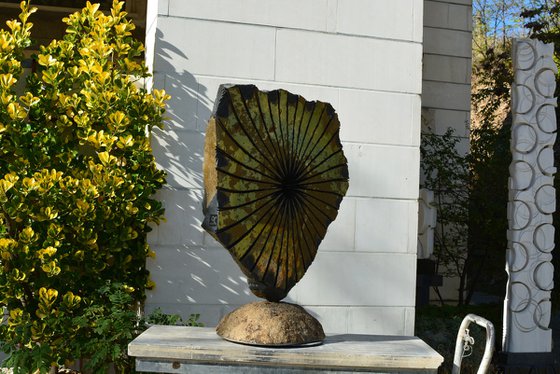 "Zephyr II"