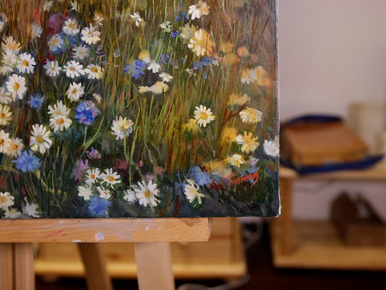 Field of flowers