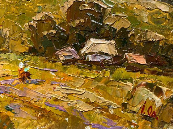The outskirts of the village