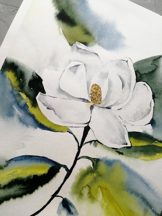 Magnolia painting. Blossoms painting