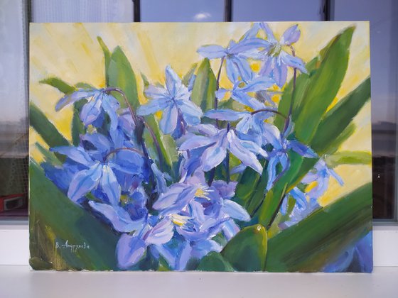 Snowdrops