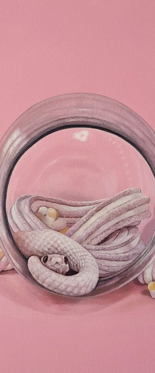 The Tiny Snake and the Candy Jar by Claudia Daminato