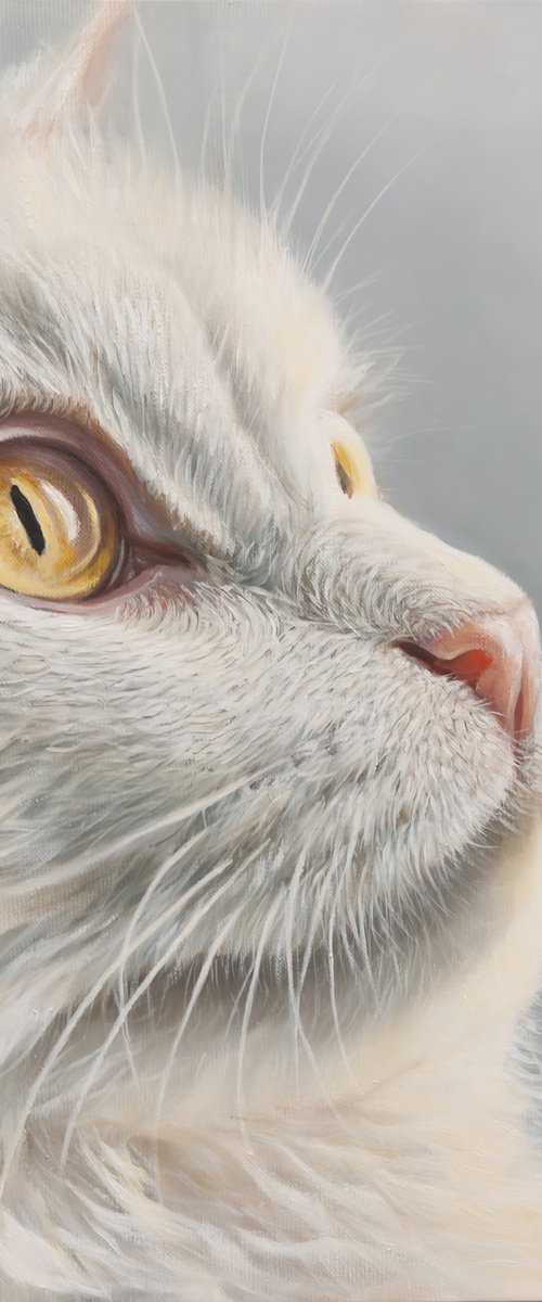 "The Silence of Gold" by Norma Beatriz Zaro
