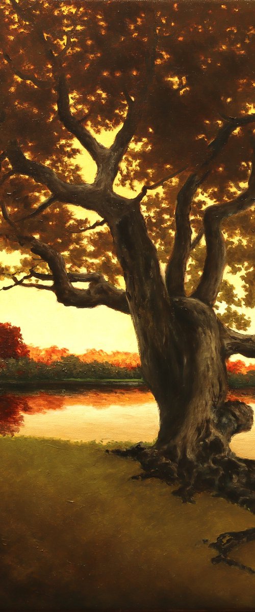 Podzimní rapsodie by Oleg Baulin