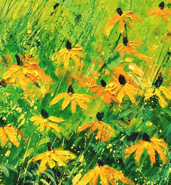 Yellow rudbeckias -6723