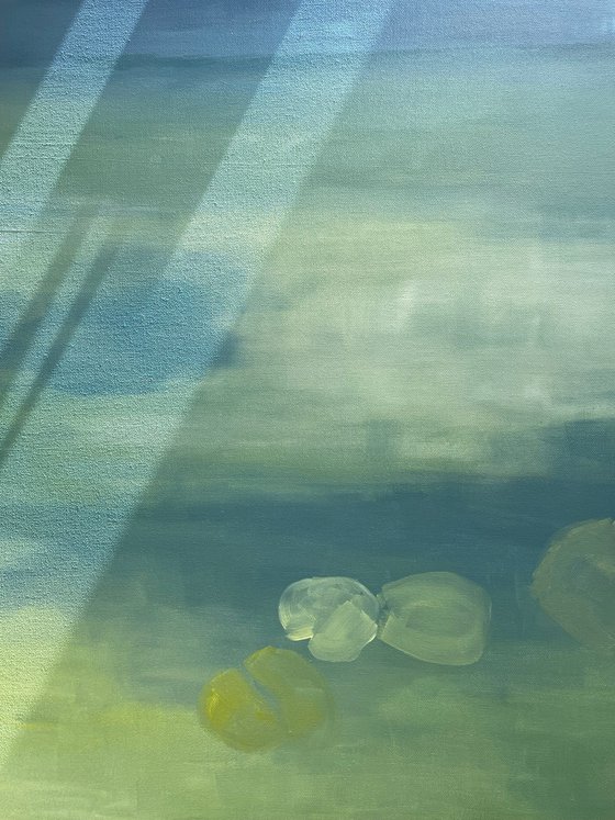 Waterlilies