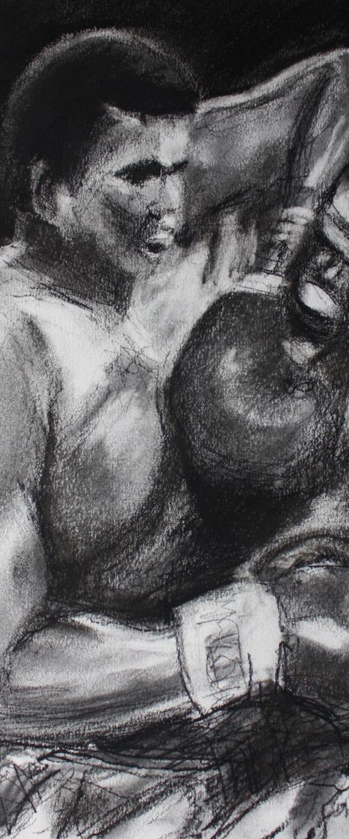 Boxing Legends (Icon Series) by Simon Jones