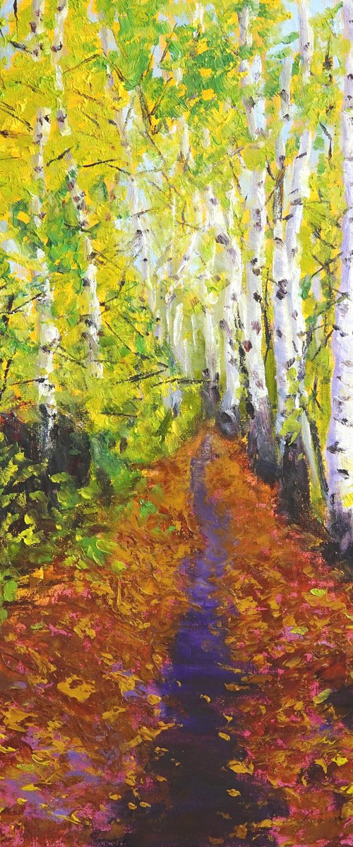 Birches Pathway by Marion Derrett