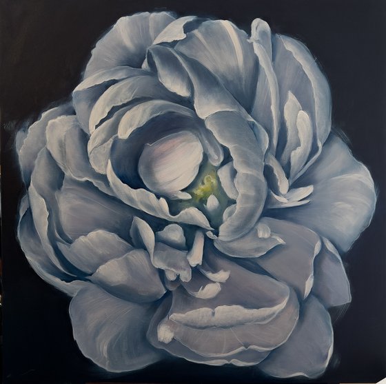 Blue Peony