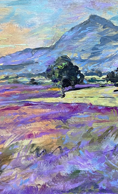 Lavender sunset by Elvira Sesenina