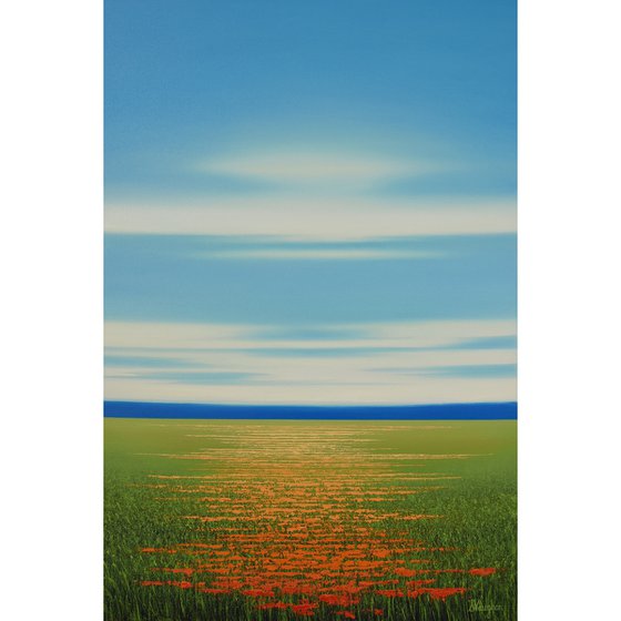 Spring Flower Field - Blue Sky