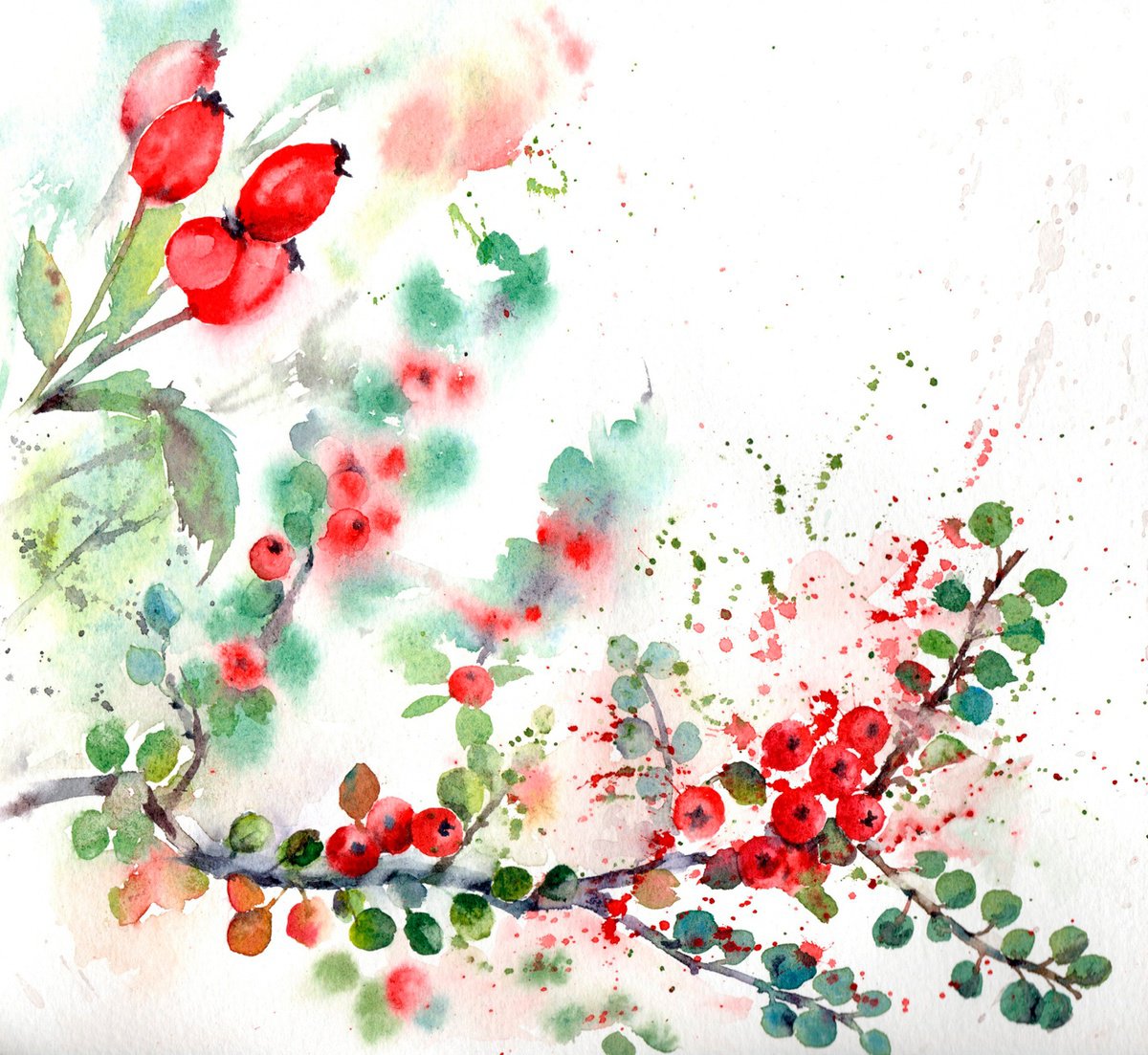 Winter berries by Anjana Cawdell