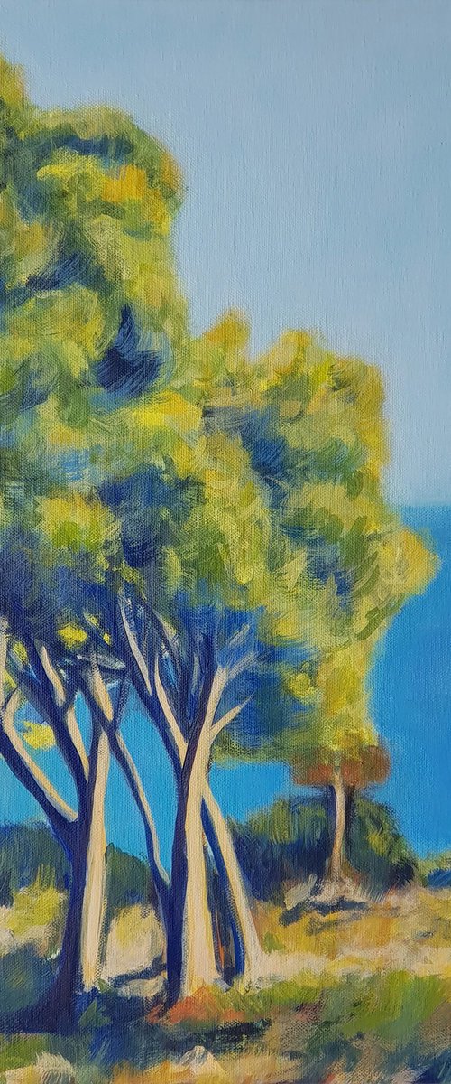 Pine Trees in Croatia by Daria Startseva
