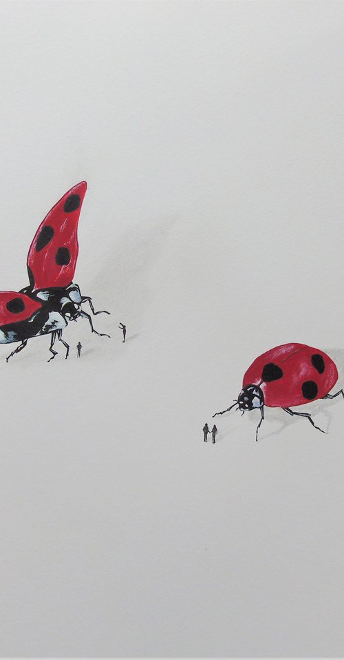 Ladybirds and People by Daniel Shipton