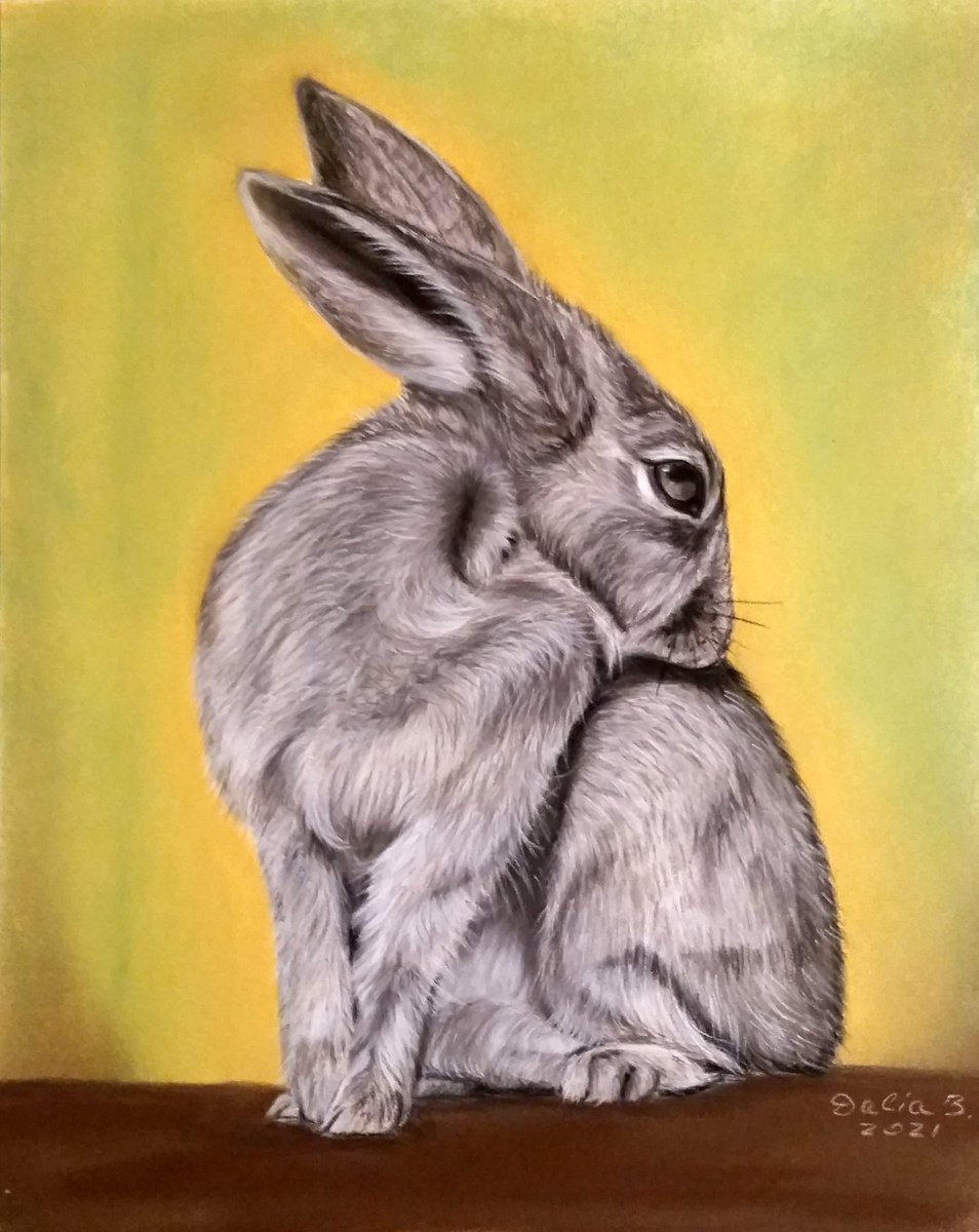 Rabbit by Dalia Binkiene