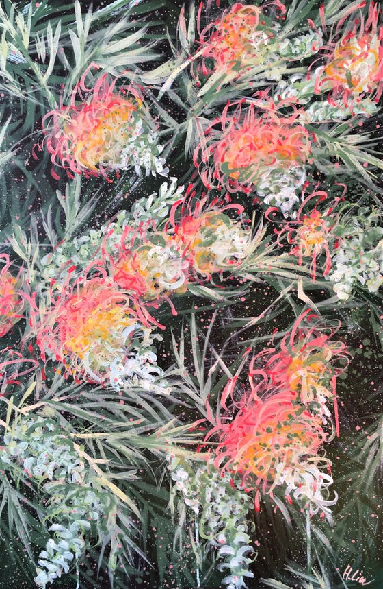 Courageous Love - Grevillea Peaches and Cream