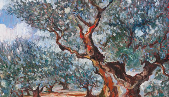 Olive Grove