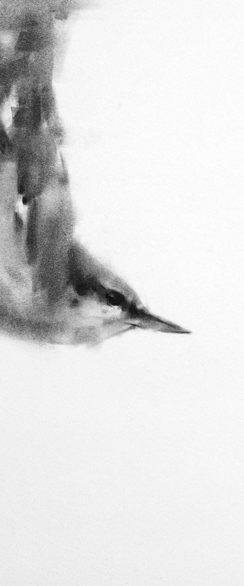 Nuthatch 2 by Tianyin Wang