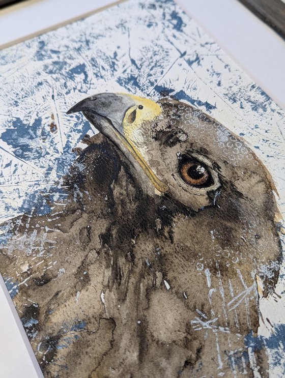 Golden eagle mixed media