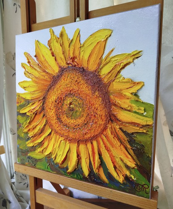 Sunlit sunflower