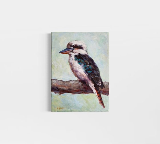 Kookaburra