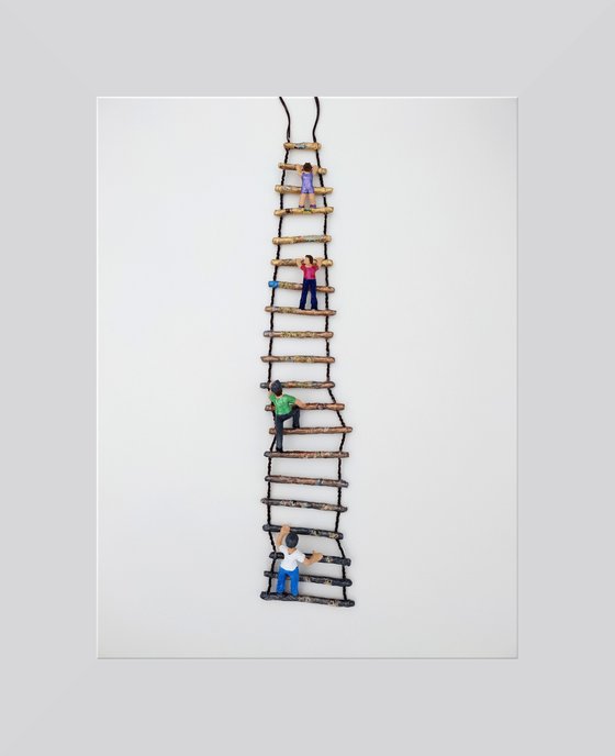 Ladder of life II