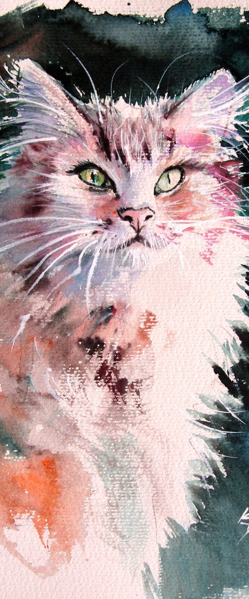 Cat by Kovács Anna Brigitta