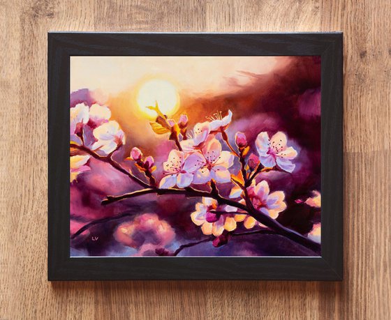 Pink cherry blossoms in sunset light