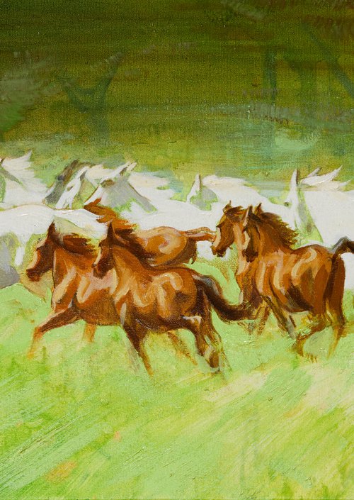 Lipizzan by Alexander Levich