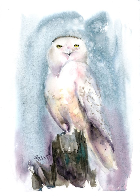 Snowy Owl on the stump