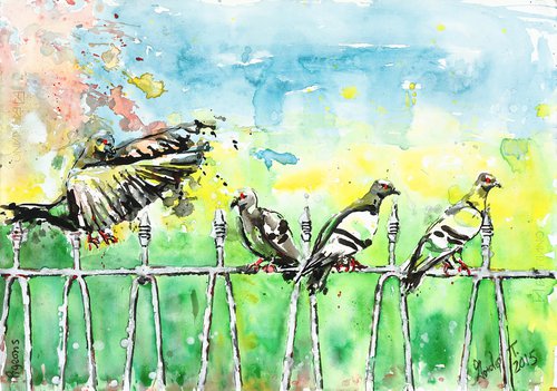 Pigeons by Gordon T.