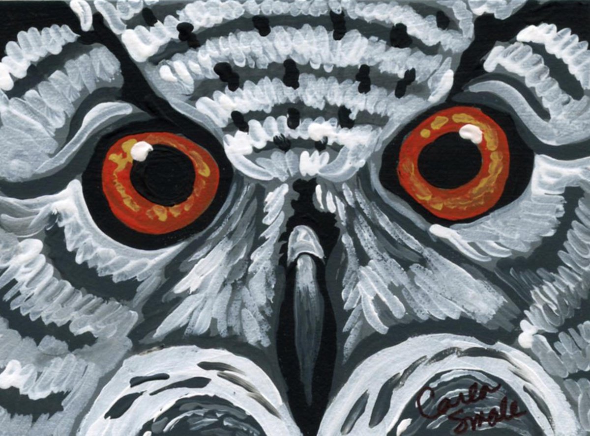 Owl Bird by Carla Smale