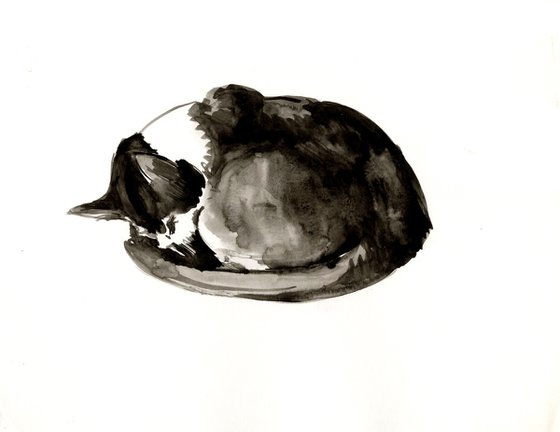 Sleeping Cat