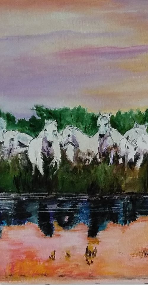 Sunset on white horses by Isabelle Lucas