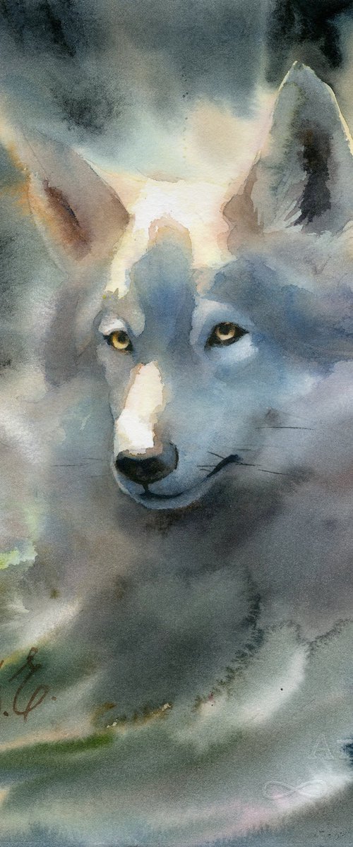 White wolf by Yulia Evsyukova