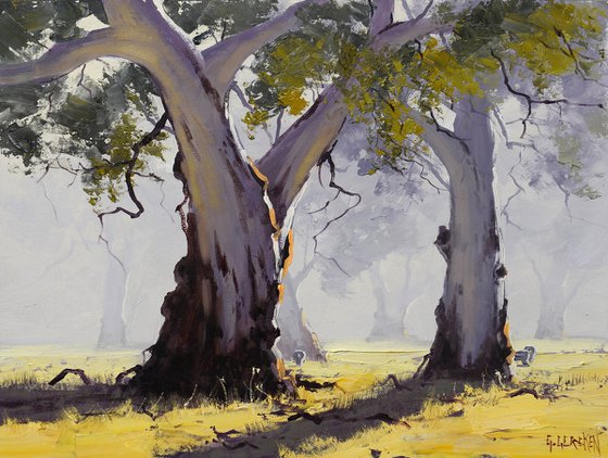 Misty Morning Australian Landscape