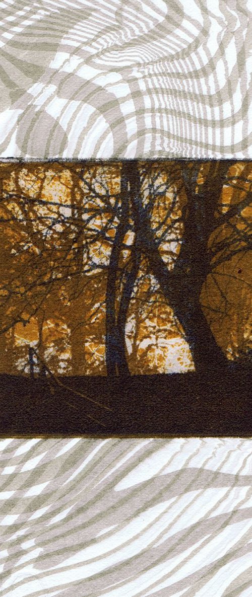 The Beautiful Trees 7 by Aidan Flanagan Irish Landscapes