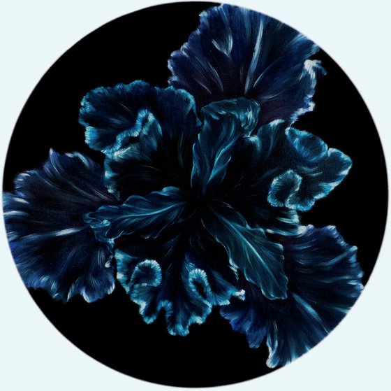 IRIS