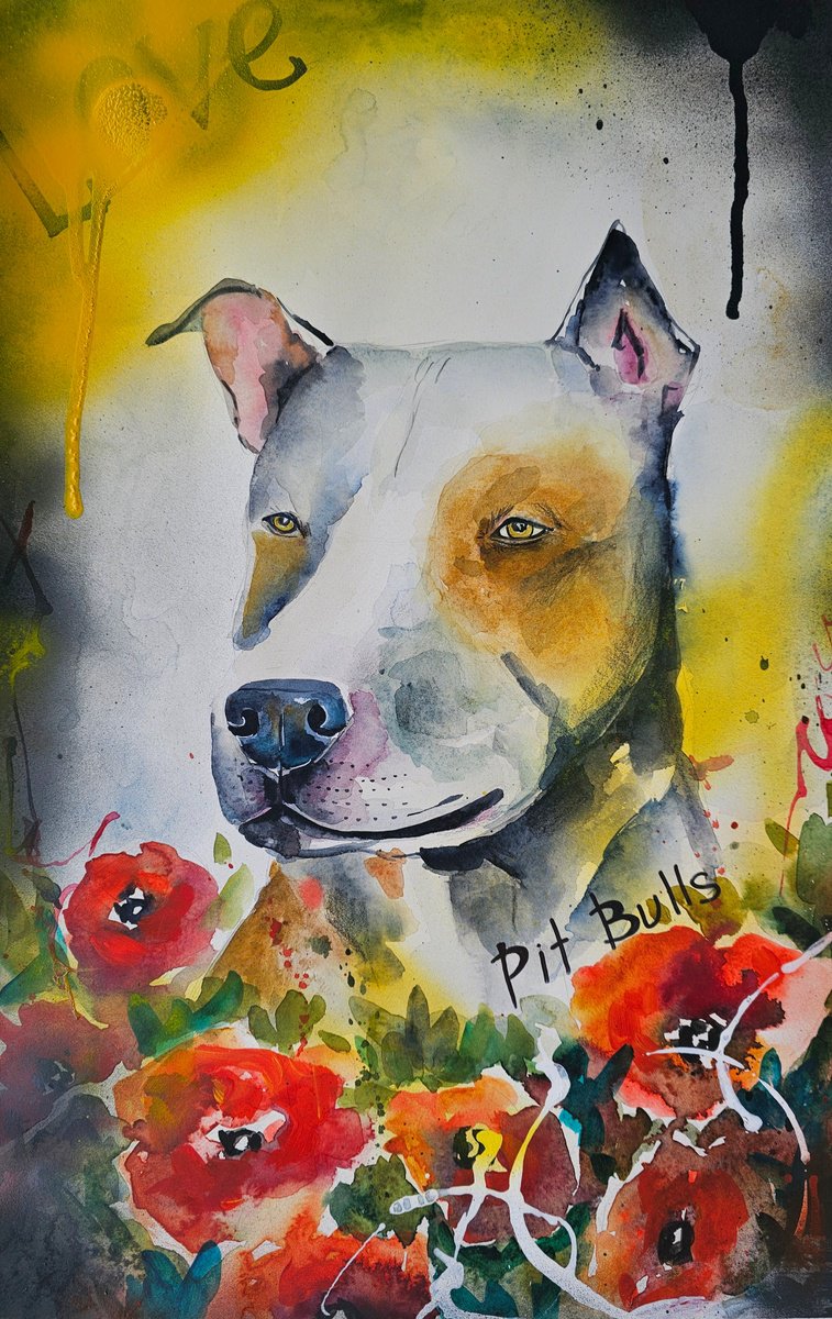 Urban And Pop Animal Watercolour By Evgenia Smirnova, 15 X 22, Pit Bull, Original Artwork