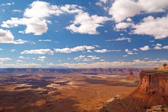 Canyonland Vista