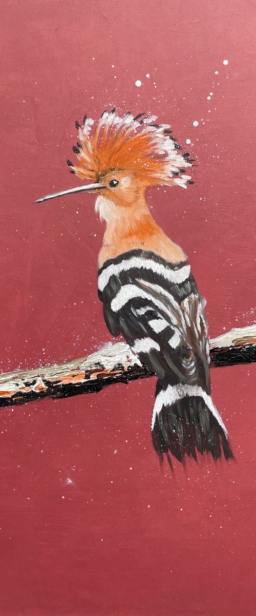 Hoopoe II by Laure Bury