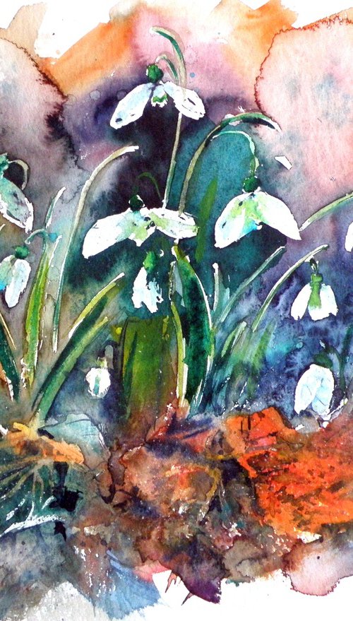 Snowdrops II by Kovács Anna Brigitta