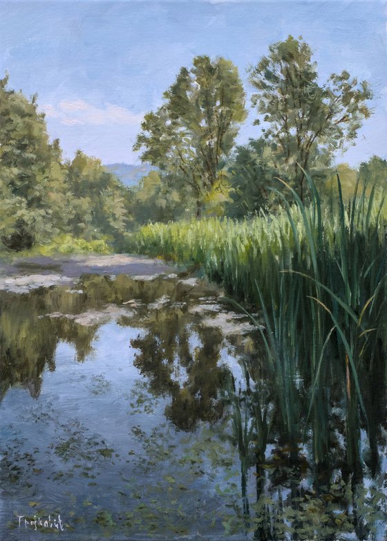 Swamp of Rasina