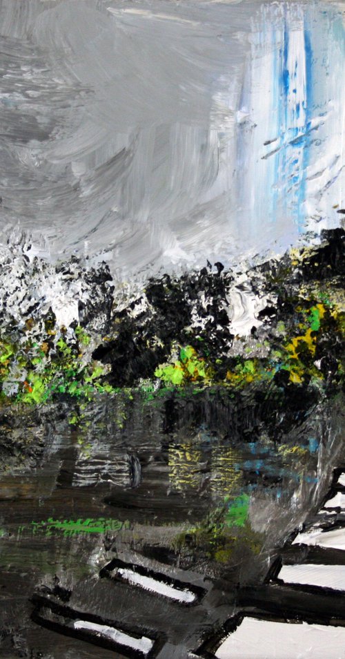 Arlington, Virginia, No.2012-62 by Alyse Radenovic