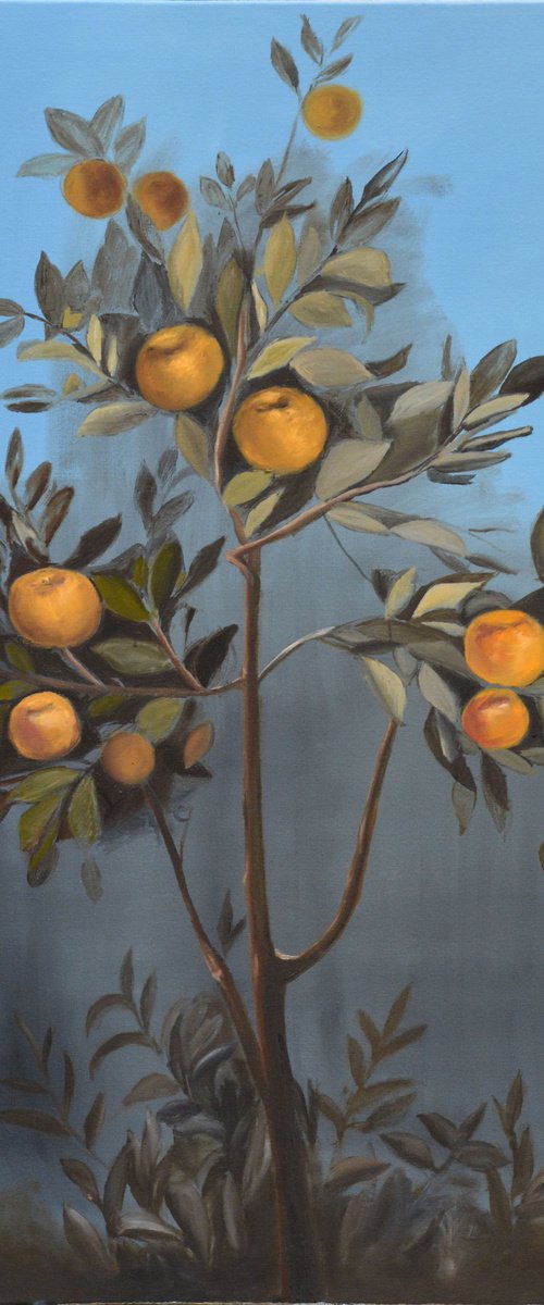 Orange tree painting, orange trees by Anna Brazhnikova