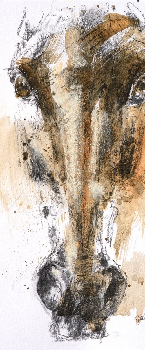 Equine Nude 283 by Benedicte Gele