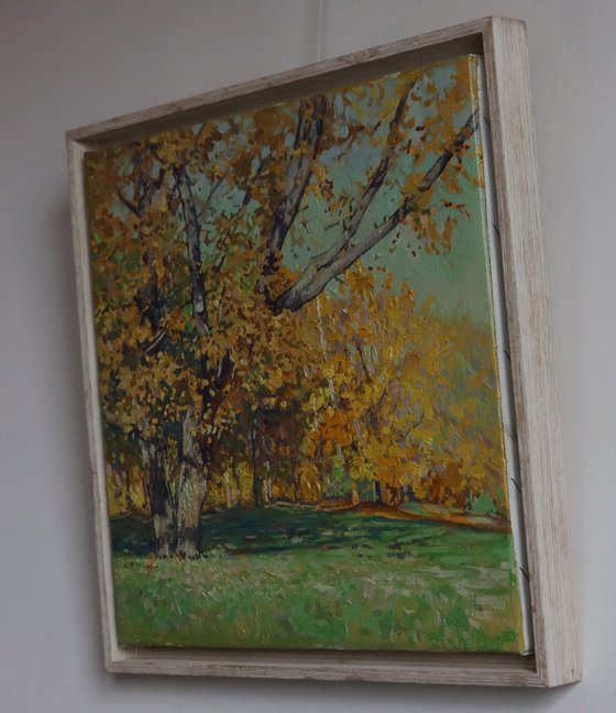 Oak tree in Tsaritsyno in October
