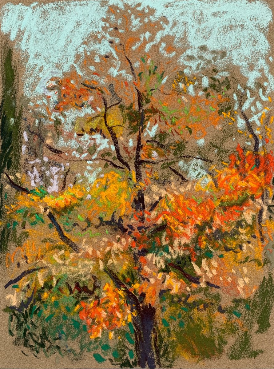 Impressionistic Pastel Drawing , The Autumn Tree By Natalia Matveeva, 12 X 16, Artwork For Sale On Artfinder