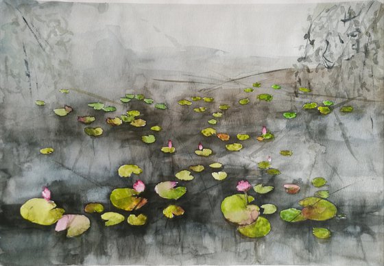 Waterlilies - Original liGHt watercolor painting